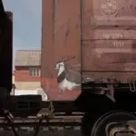 Андрей Druce Boxcar – Фауна 43