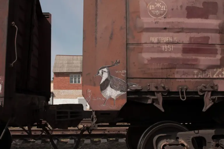 Андрей Druce Boxcar – Фауна 43