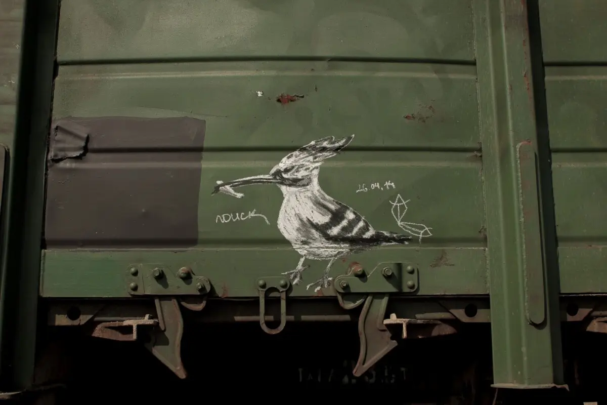 Андрей Druce Boxcar – Фауна 44
