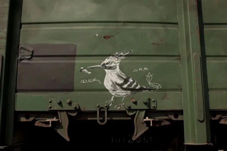 Андрей Druce Boxcar – Фауна 44