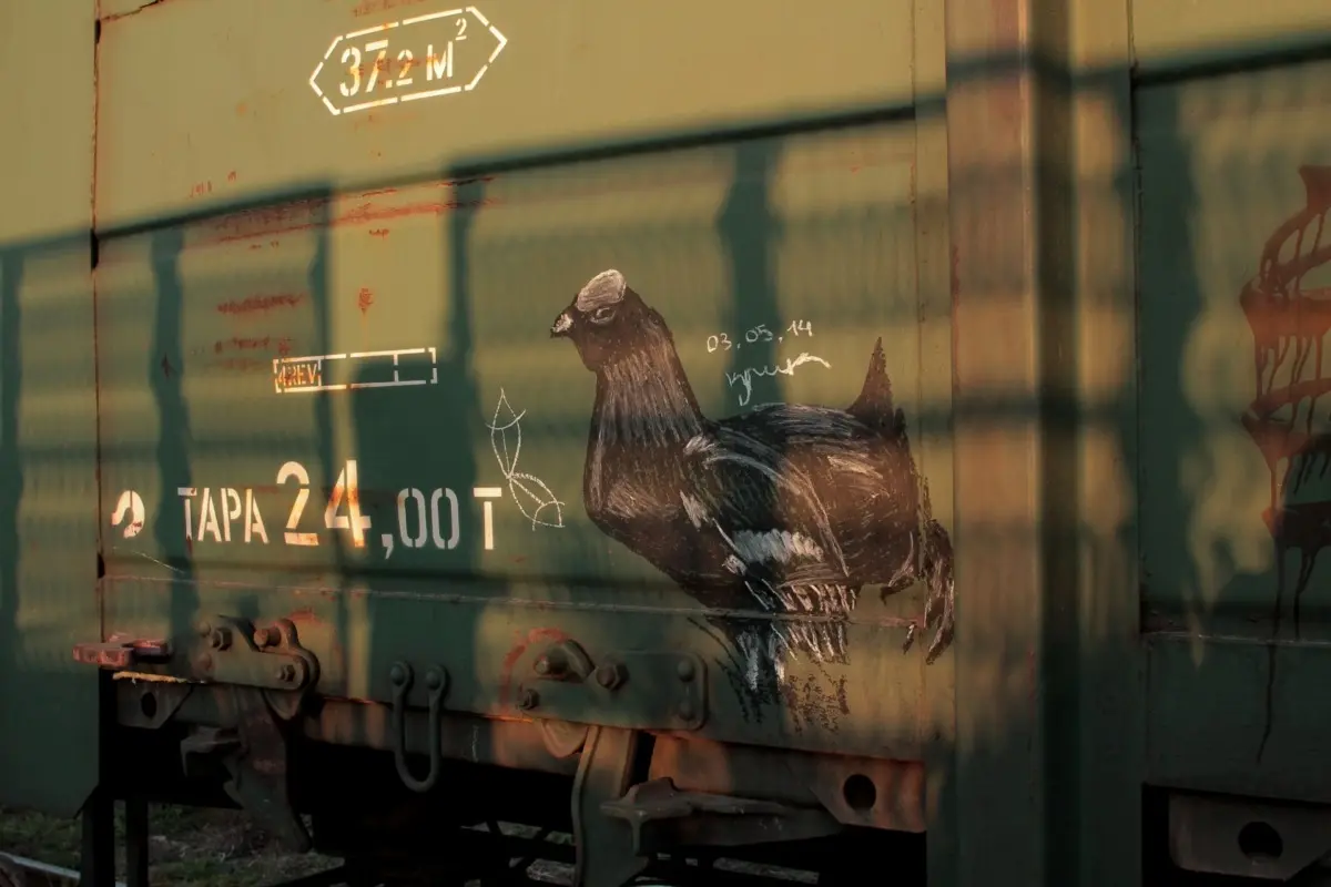 Андрей Druce Boxcar – Фауна 46