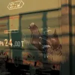 Андрей Druce Boxcar – Фауна 46