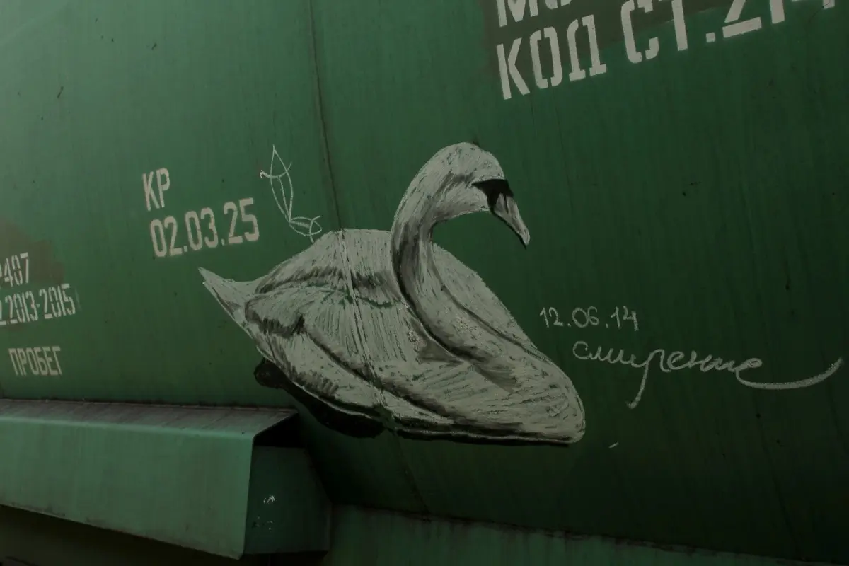 Андрей Druce Boxcar – Фауна 47