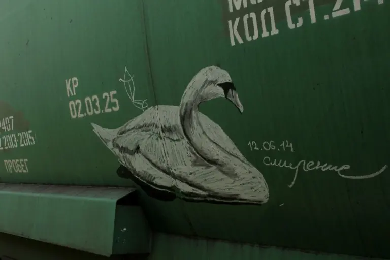 Андрей Druce Boxcar – Фауна 47