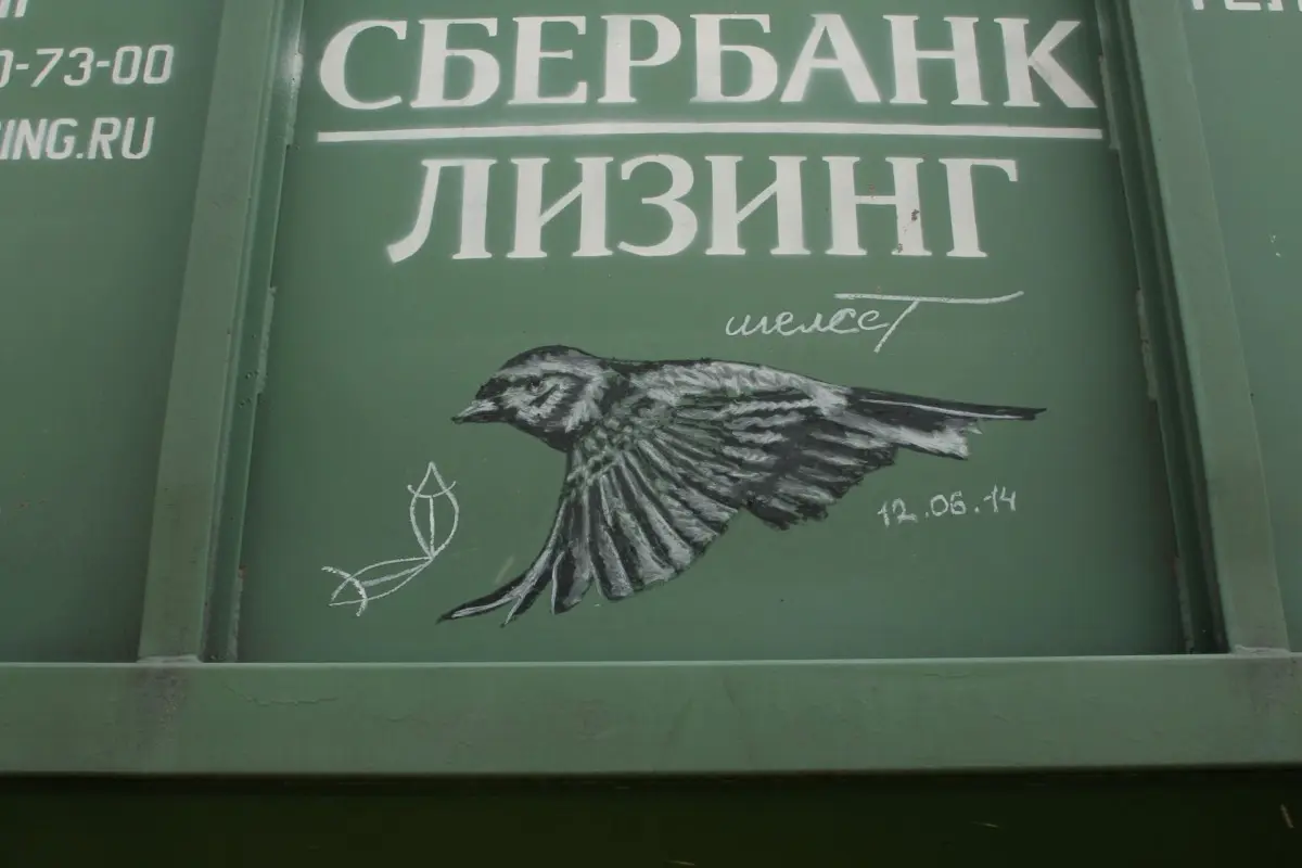 Андрей Druce Boxcar – Фауна 48