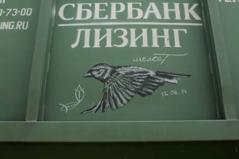 Андрей Druce Boxcar – Фауна 48