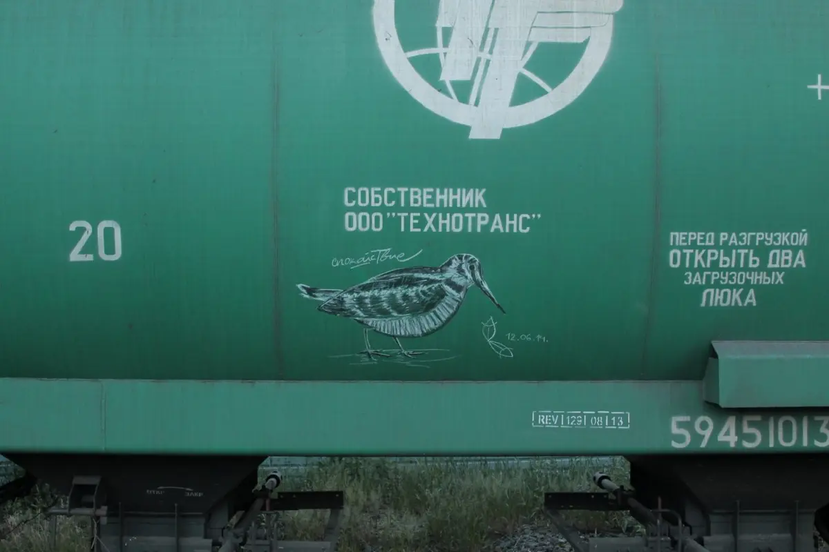 Андрей Druce Boxcar – Фауна 50