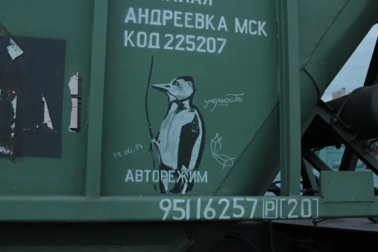 Андрей Druce Boxcar – Фауна 51