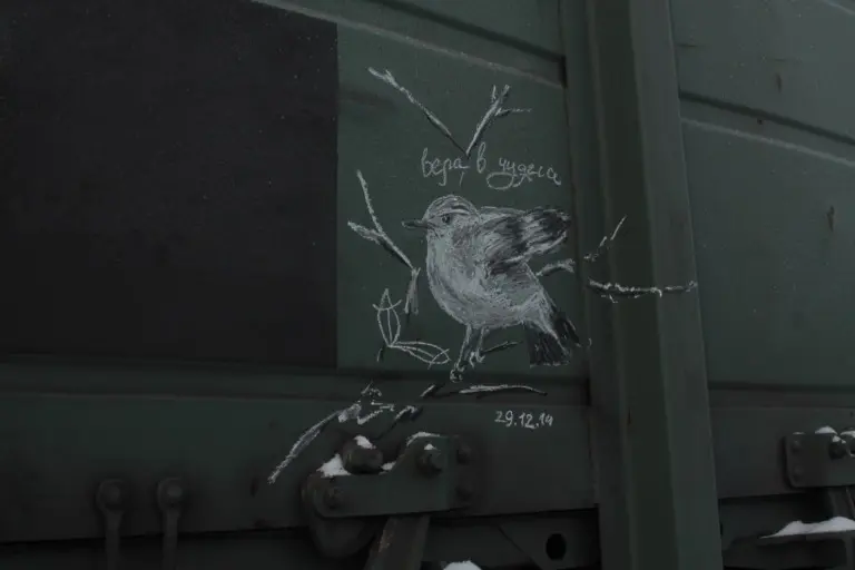 Андрей Druce Boxcar – Фауна 53