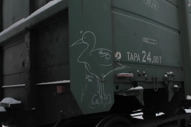 Андрей Druce Boxcar – Фауна 54