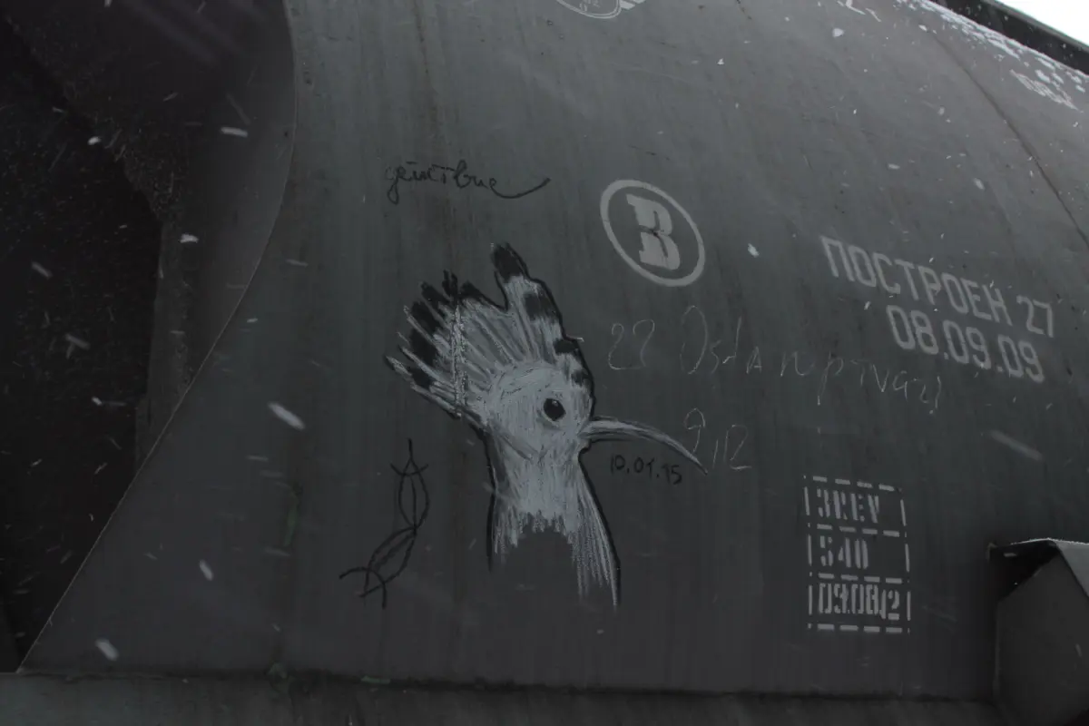 Андрей Druce Boxcar – Фауна 55