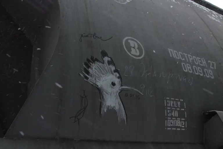 Андрей Druce Boxcar – Фауна 55