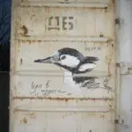 Андрей Druce Boxcar – Фауна 57