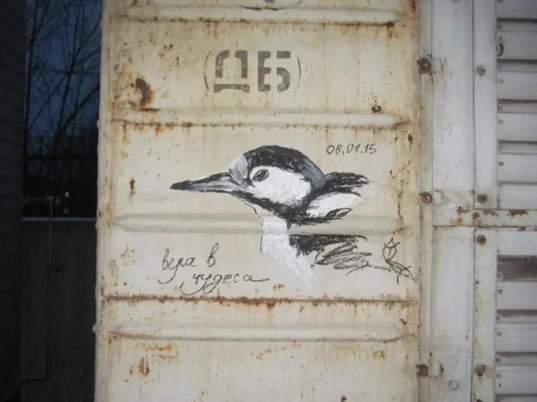 Андрей Druce Boxcar – Фауна 57