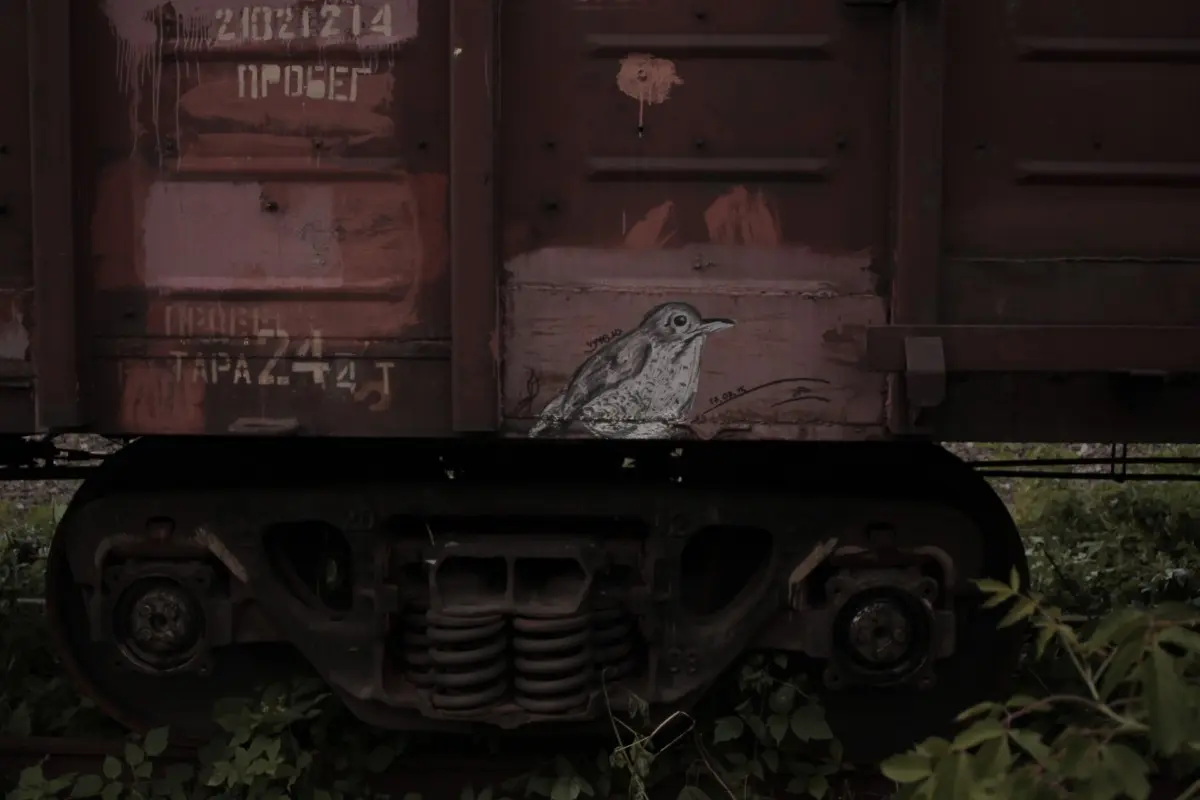 Андрей Druce Boxcar – Фауна 58