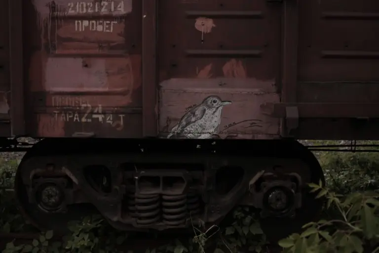 Андрей Druce Boxcar – Фауна 58