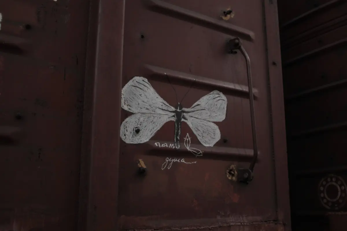 Андрей Druce Boxcar – Фауна 59