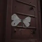 Андрей Druce Boxcar – Фауна 59