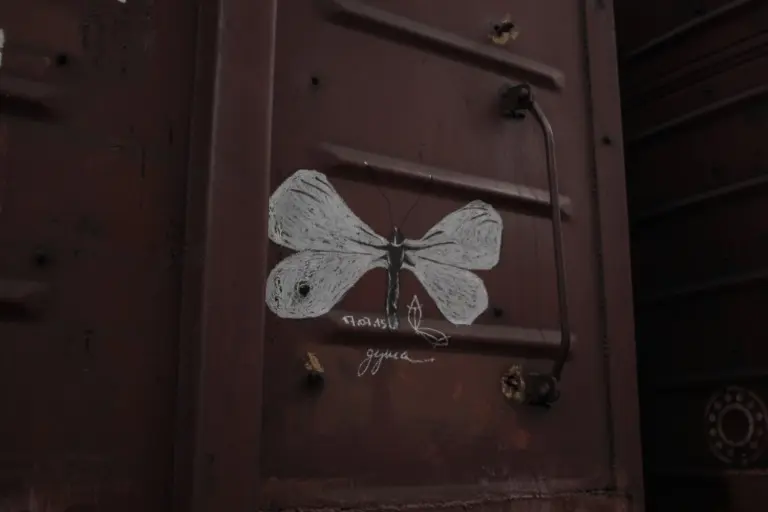 Андрей Druce Boxcar – Фауна 59