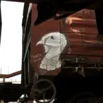 Андрей Druce Boxcar – Фауна 6