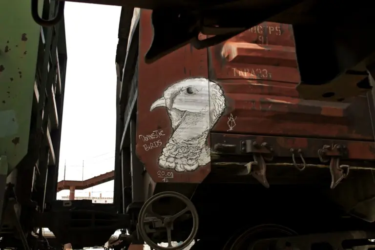 Андрей Druce Boxcar – Фауна 6