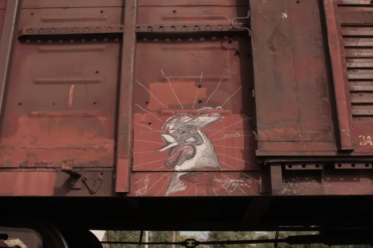 Андрей Druce Boxcar – Фауна 60