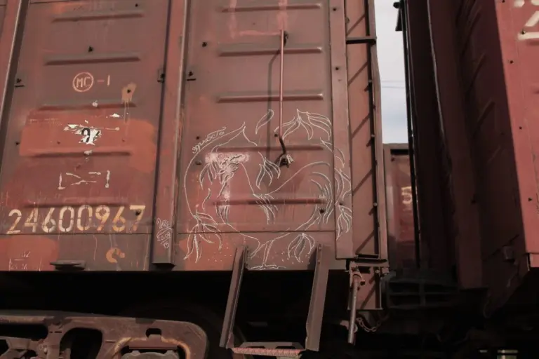 Андрей Druce Boxcar – Фауна 61