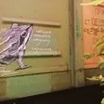 Андрей Druce Boxcar – Фауна 62