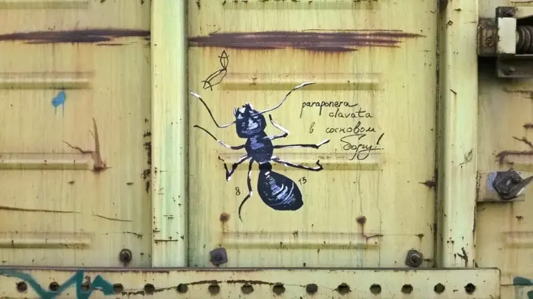 Андрей Druce Boxcar – Фауна 63