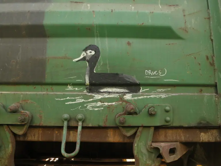 Андрей Druce Boxcar – Фауна 67