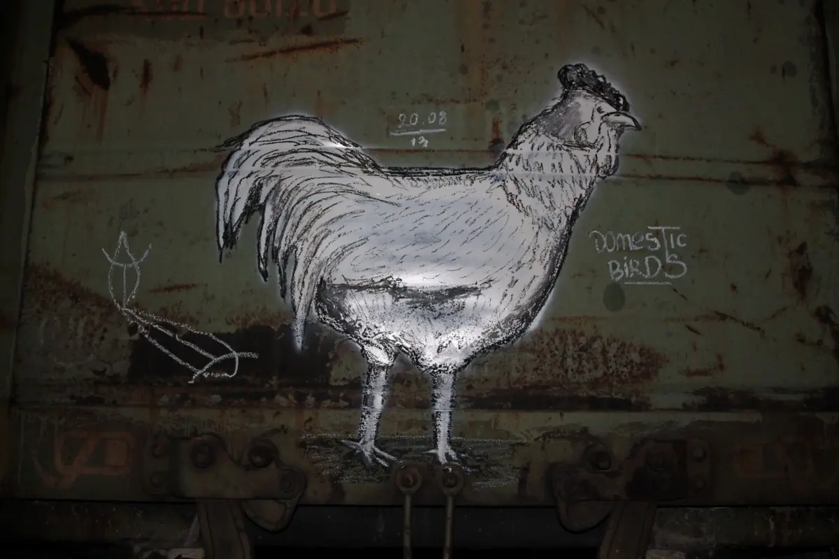 Андрей Druce Boxcar – Фауна 7