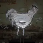 Андрей Druce Boxcar – Фауна 7