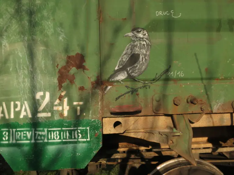 Андрей Druce Boxcar – Фауна 70