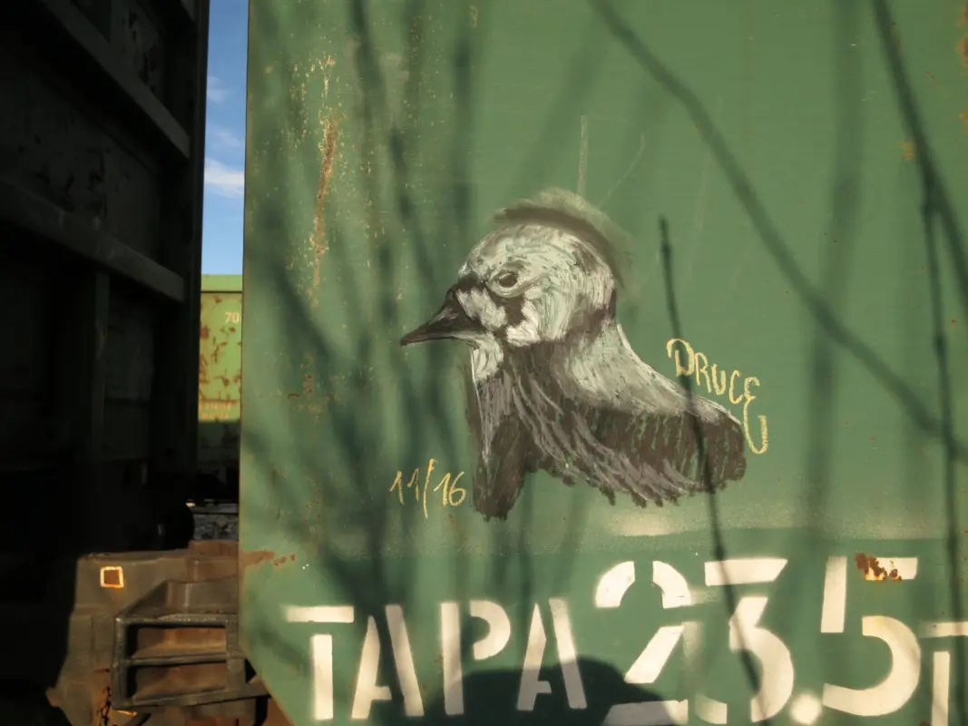 Андрей Druce Boxcar – Фауна 72