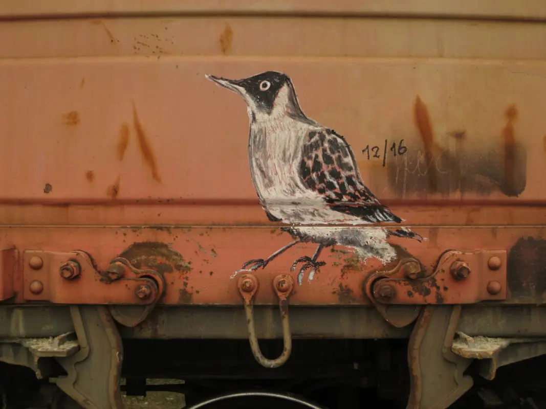 Андрей Druce Boxcar – Фауна 75