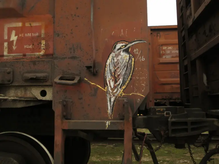 Андрей Druce Boxcar – Фауна 76