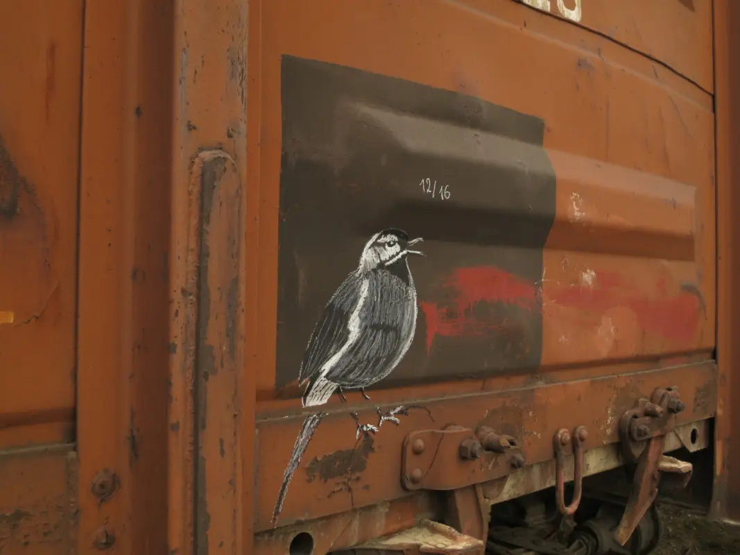 Андрей Druce Boxcar – Фауна 77