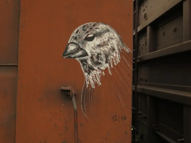 Андрей Druce Boxcar – Фауна 78