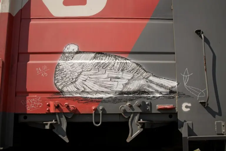 Андрей Druce Boxcar – Фауна 8