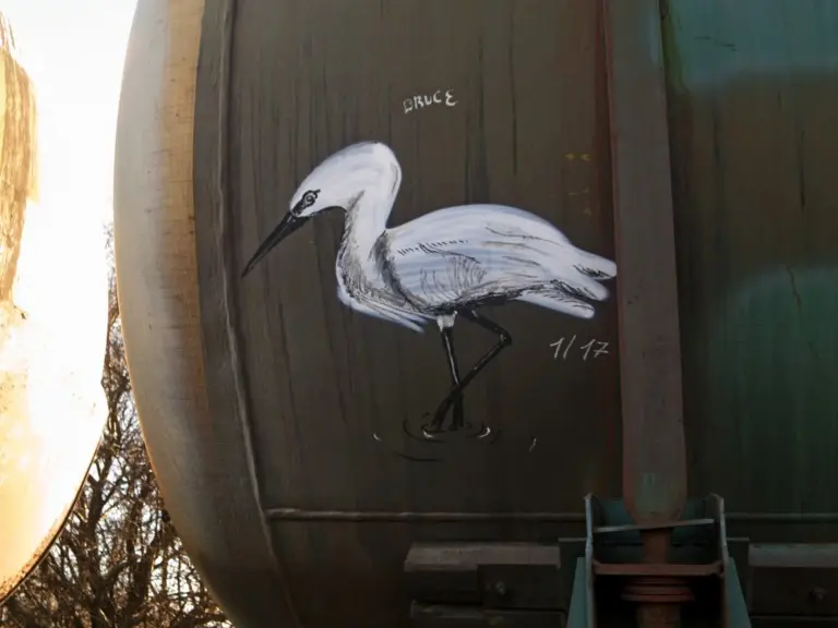 Андрей Druce Boxcar – Фауна 80