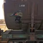 Андрей Druce Boxcar – Фауна 81