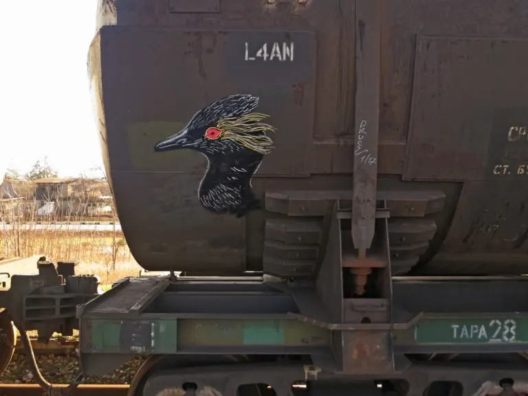 Андрей Druce Boxcar – Фауна 81