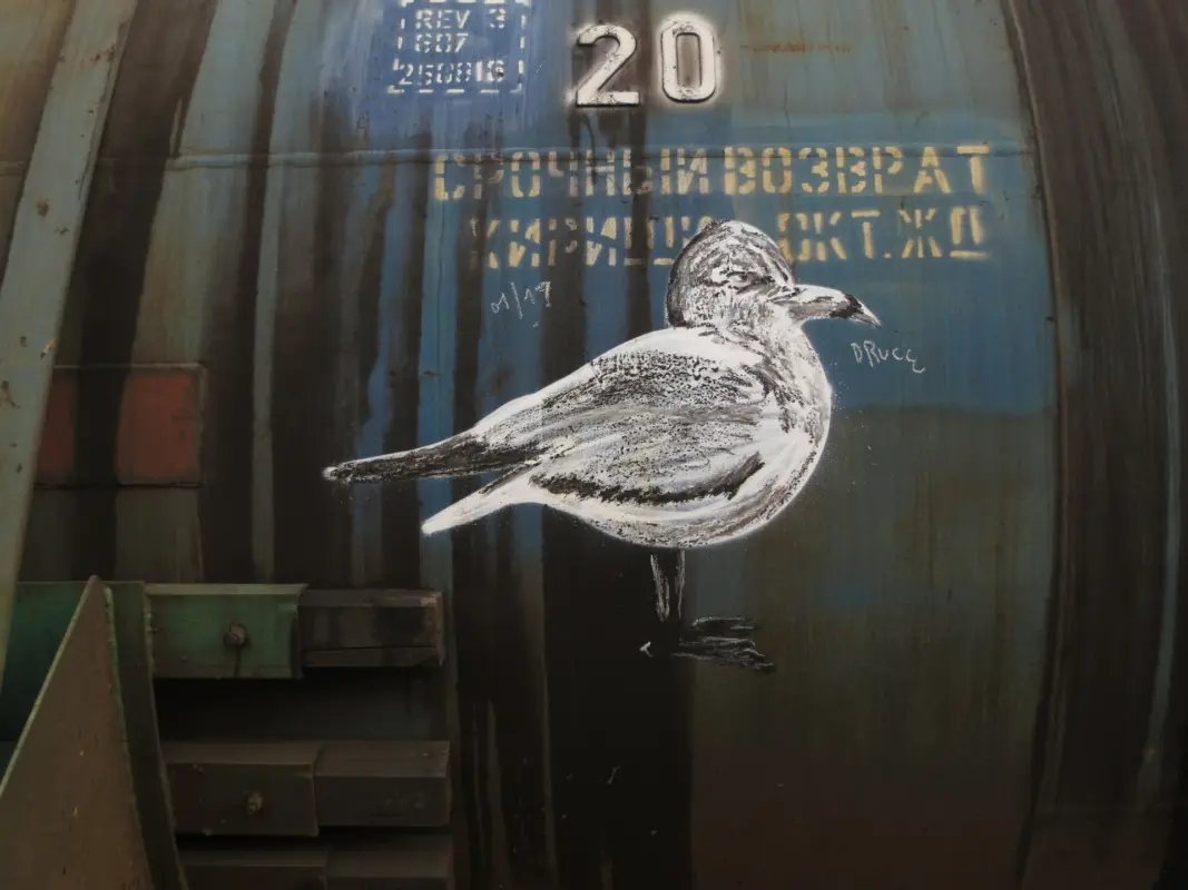 Андрей Druce Boxcar – Фауна 83