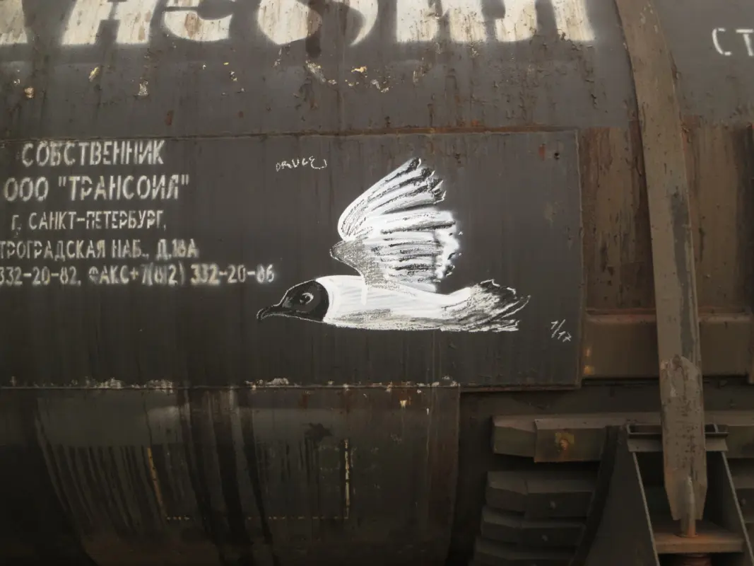 Андрей Druce Boxcar – Фауна 84