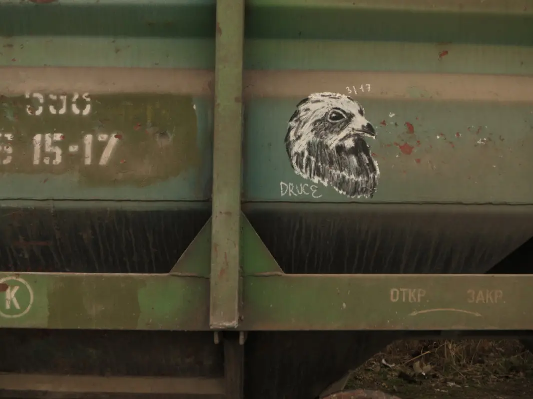 Андрей Druce Boxcar – Фауна 85