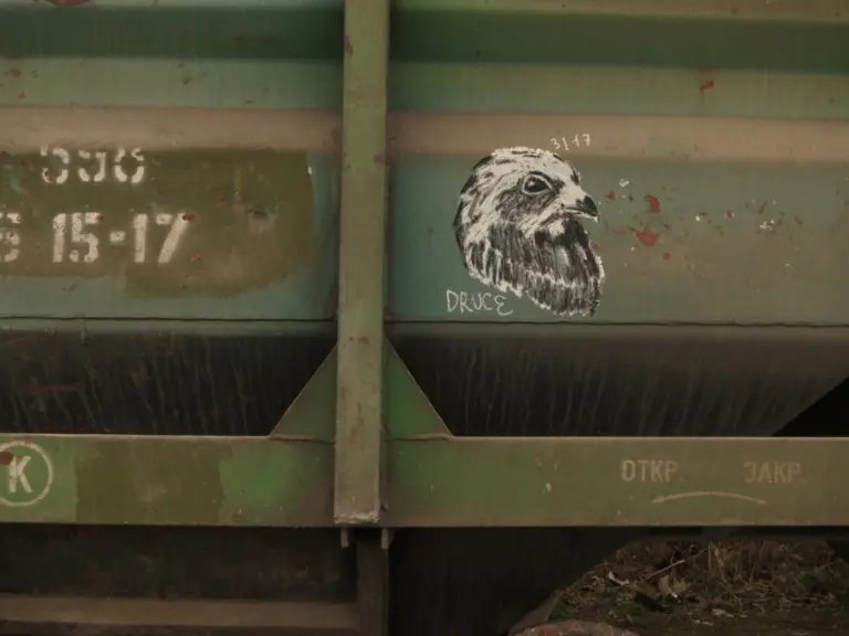 Андрей Druce Boxcar – Фауна 85