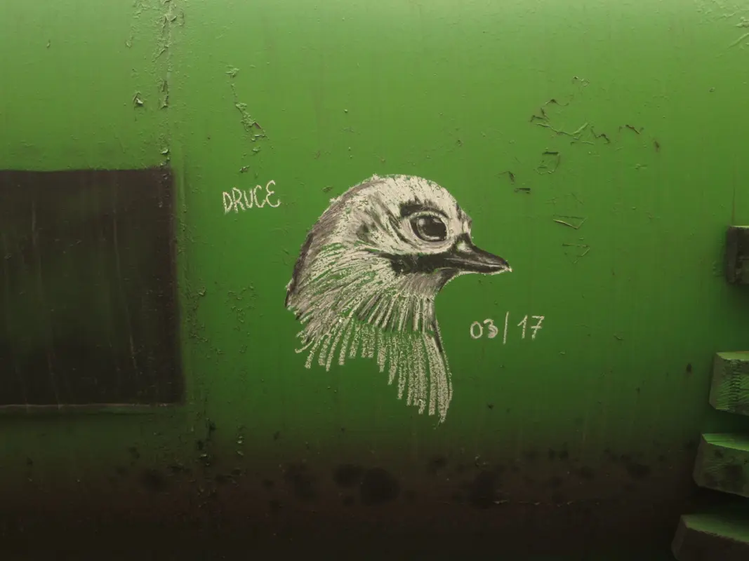 Андрей Druce Boxcar – Фауна 86