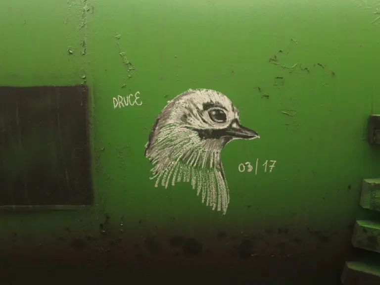 Андрей Druce Boxcar – Фауна 86