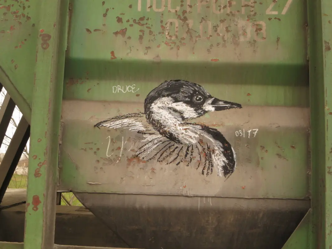 Андрей Druce Boxcar – Фауна 87