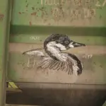 Андрей Druce Boxcar – Фауна 87